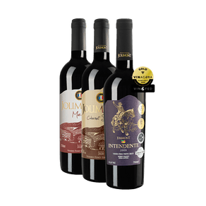 intendente, merlot e cabernet com medalha